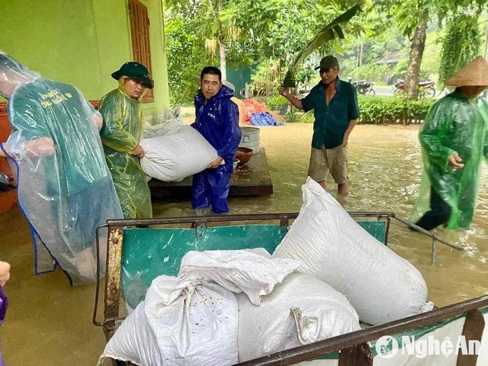 Nhân dân xã Yên Khê di dời thóc lúa vừa mới thu hoạch xong. Ảnh: Tường Vi