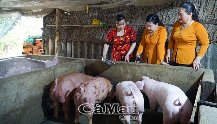 Bên cạnh vụ lúa – tôm, gia đình bà Lâm Thị Nghi (bìa trái) còn chăn nuôi heo, nhờ đó kinh tế ngày càng phát triển và bà cũng mạnh dạn chia sẻ kinh nghiệm với các thành viên Tổ phụ nữ dân tộc ấp Tapasa 1, xã Tân Phú. 