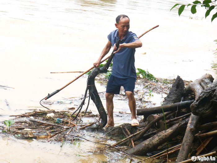 Năm nay lũ về qua vực Quánh ban ngày, trời nắng, nên việc vớt củi thuận lợi hơn và đỡ nguy hiểm hơn. Nhiều năm lũ về ban đêm, trời mưa, người dân cũng rủ nhau đội đèn đi vớt củi. Ảnh: Huy Thư