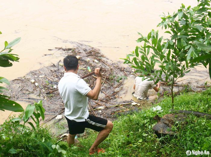 Tại đây, có người đứng trên bờ sông cầm sào chờ củi trôi qua, nhưng có người ngồi hẳn dưới lòng sông đợi củi để vớt. Vớt củi lụt trên sông Lam mùa lũ là công việc khó nhọc, tiềm ẩn không ít rủi ro. Ảnh: Huy Thư