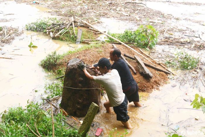 Đi vớt củi lụt, một số người cũng kiếm được những cây gỗ to, dài hay những khúc gỗ dổi, de đã bị cắt ngắn trôi lẫn theo củi, rác trên sông. Có khi gỗ chưa kéo được lên bờ, nhưng đã có người đến hỏi mua. Ảnh: Huy Thư