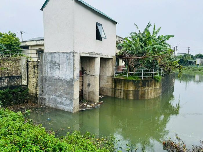 Mực nước phía ngoài đê sông Lam còn cao, phương án tiêu thoát qua cống tại Trạm số 3 không mang lại hiệu quả, nên phải vận hành các trạm bơm tiêu thoát cưỡng bức. Ảnh: Nguyễn Hải