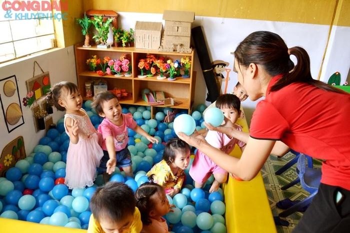 Và những mầm non sẽ lớn lên. Ảnh: Quốc Hồng