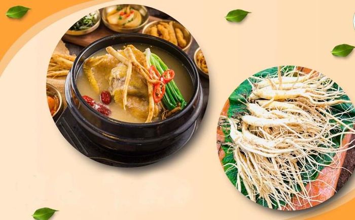 Lẩu gà hầm sâm. (Ảnh: Dulichmangden)