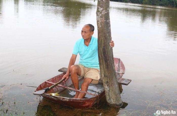 Một người dân xóm 7, xã Châu Nhân chia sẻ: Nước lũ đã bao vây nhà ông từ 5 ngày nay, các con và cháu đã di chuyển lên trú ở nhà phía trong đê để đảm bảo an toàn. Hằng ngày ông chèo thuyền tôn đi thả lưới cải thiện bữa ăn. Ảnh: An Nam