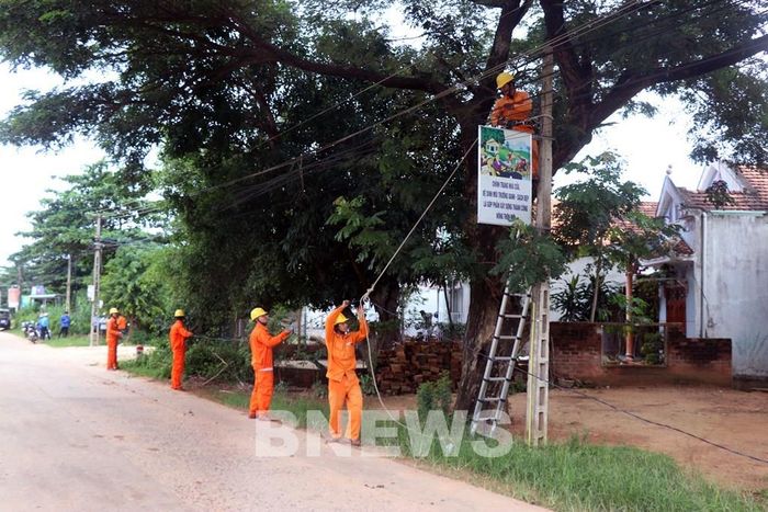 Công ty Điện lực Bình Định lắp đặt hệ thống điện chiếu sáng tại 5 tuyến đường nông thôn. Ảnh: Nguyên Linh/TTXVN
