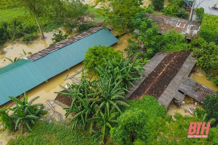 “Chúng tôi phải huy động anh em người thân giúp chạy lũ, nhưng chỉ đưa được chó, mèo và mấy trăm con gà lên đê, còn lại gia đình tôi bị mất trắng 3 ao nuôi cá, ước tính khoảng 1 tấn cá giống”, ông Hải nói.