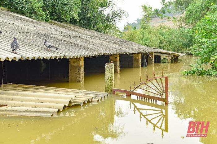 Nước lũ dâng cao 3-4 m, ngập sát đỉnh cổng ngõ, mái nhà người dân...