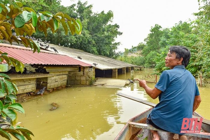 Ông Lê Đăng Hải (48 tuổi, thôn Chuế Cầu, xã Yến Sơn) cho biết, do nước lũ về nhanh, khiến gia đình ông bị thiệt hại nặng nề, nhiều ao cá bị mất trắng, chuồng trại ngập sâu.