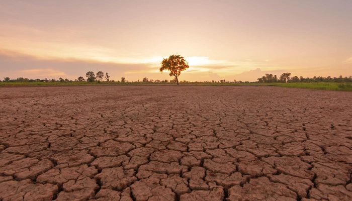 Siêu El Nino là một phiên bản mạnh hơn của El Nino, với cường độ và tác động lớn hơn nhiều. Những sự kiện Siêu El Nino nổi bật trong lịch sử bao gồm các năm 1982-1983, 1997-1998 và gần đây nhất là 2015-2016. (Ảnh:The ASEAN Magazine)