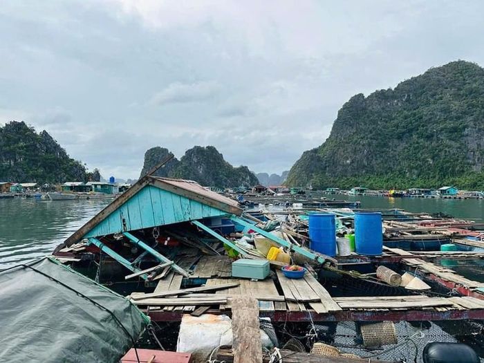  Nhiều người dân trắng tay sau cơn bão số 3, khả năng hồi phục kinh tế và trả nợ ngân hàng khó khăn. 