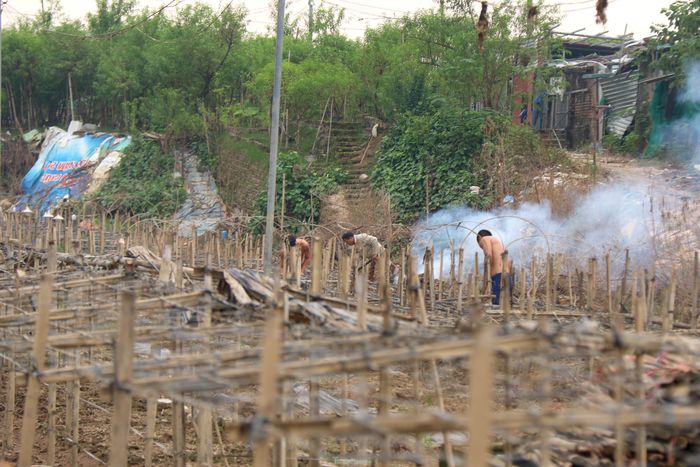 Sau khi nước rút, người dân xử lý bằng cách nhổ bỏ cây hỏng, xử lý đất để nhanh chóng gối vụ cho hoa tết.