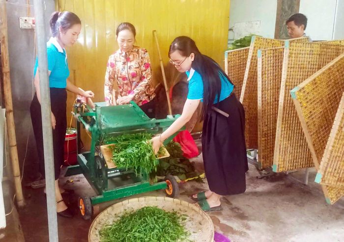 Máy móc được Hợp tác xã đầu tư để hỗ trợ những công đoạn cần thiết trong quá trình sản xuất. Ảnh: Thanh Quỳnh