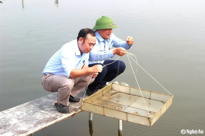 Cán bộ Chi cục Thú y vùng 3 và Chi cục Chăn nuôi &amp; Thú y Nghệ An kiểm tra thực trạng tôm chết trên địa bàn xã Quỳnh Bảng trong tháng 5 vừa qua. Ảnh: Quang An