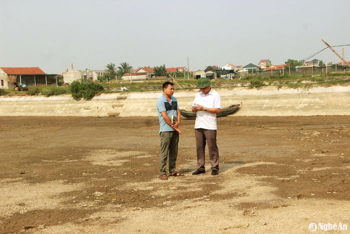 Ông Hồ Đăng Tâm - Giám đốc HTX Nông nghiệp tổng hợp Quỳnh Bảng trao đổi với PV về thực trạng tôm nuôi thường xuyên nhiễm bệnh. Ảnh: Quang An