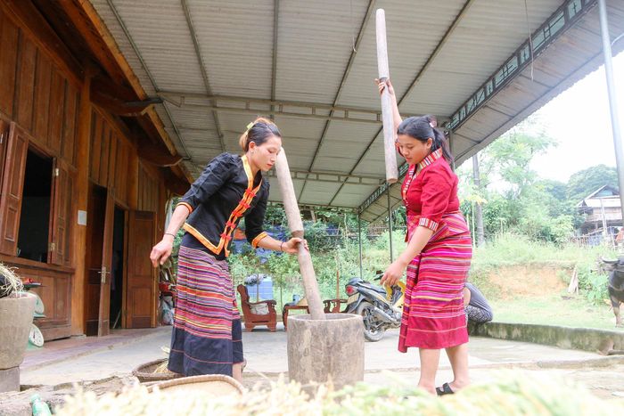Lúa sau khi phơi khô sẽ cho vào cối giã cho đến khi tróc vỏ trấu. Chị Lữ Thị Hiền, ở bản Xốp Pu, xã Yên Na cho hay: “Trong quá trình giã không được quá mạnh tay, mạnh tay quá cốm sẽ nát. Muốn có được những hạt cốm óng mượt, xanh mướt, khi giã phải luôn tay đảo cốm từ trên xuống dưới sao cho đều”. Ảnh: Đình Tuân