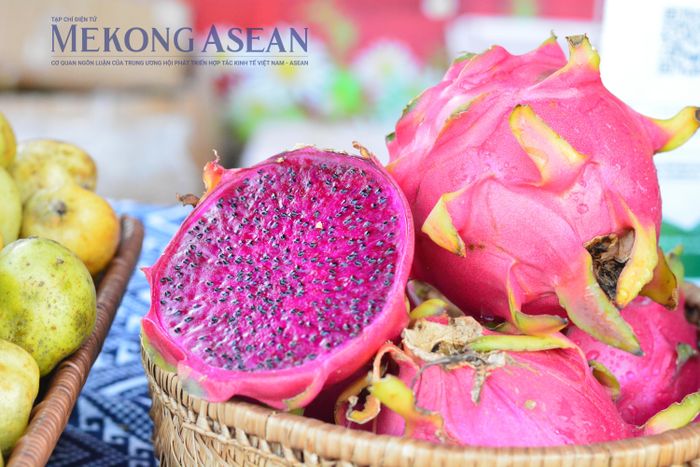 Thanh long ruột đỏ là một trong những mặt hàng trái cây Việt Nam xuất khẩu sang Trung Quốc. Ảnh minh họa: Lê Hồng Nhung/Mekong ASEAN