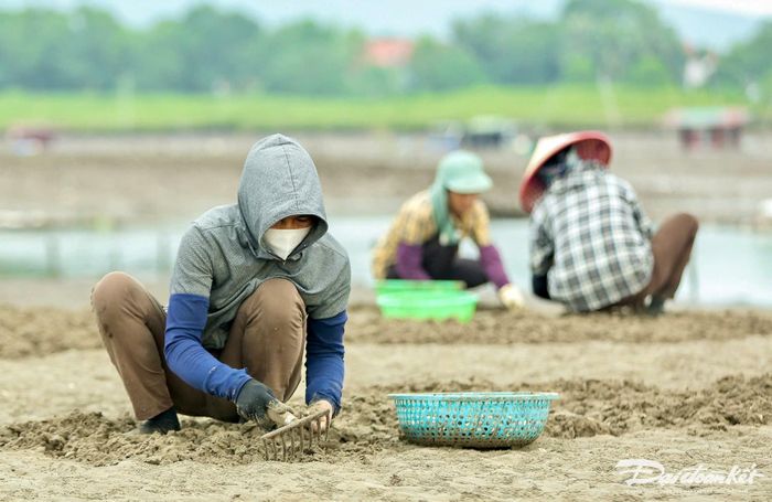 Dụng cụ mang theo khi đi cào ngao khá đơn giản, chỉ cần một chiếc đinh 3, rổ, rá... là có thể làm việc. Ảnh: Đình Minh.