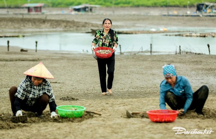 Bà Biên cho biết, hiện gia đình bà có gần 50 ha nuôi ngao, trong đó, 45 ha để nuôi ngao thương phẩm, 5 ha để sản xuất giống. Như năm 2023, các vựa ngao của bà xuất bán khoảng 100.000 tấn, trừ hết chi phí và nhân công, bà thu lãi trên 3 tỷ đồng. Ảnh: Đình Minh.