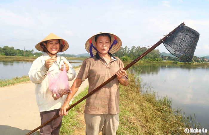 Mùa xúc cua, nhủi cua đã trở thành kỷ niệm khó quên của nhiều người dân địa phương. Một phụ nữ xã Thanh Lương đi xúc cua cho hay: Những hôm được cua, vợ chồng chị ra đồng đi xúc cả sáng lẫn chiều. Ảnh: Huy Thư
