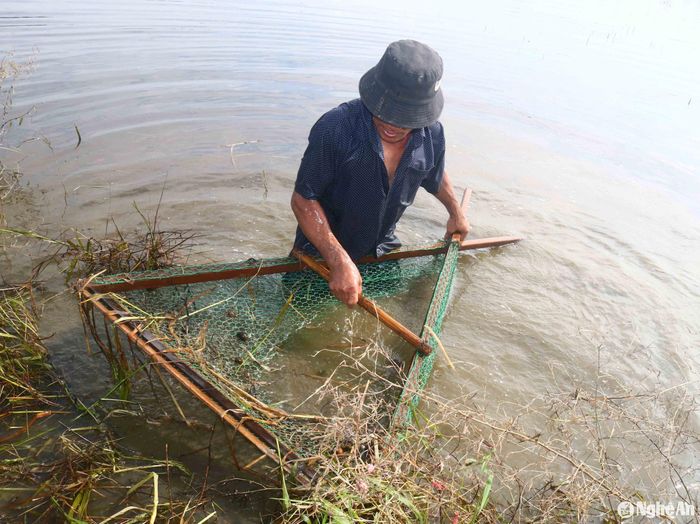 Nhiều người lớn đi nhủi cua ở vùng nước sâu, mệt, ướt sũng áo quần, nhưng không có nhiều cua. Kinh nghiệm cho thấy khi nước cạn tới bắp chân, nhủi cua mới có hiệu quả. Ảnh: Huy Thư