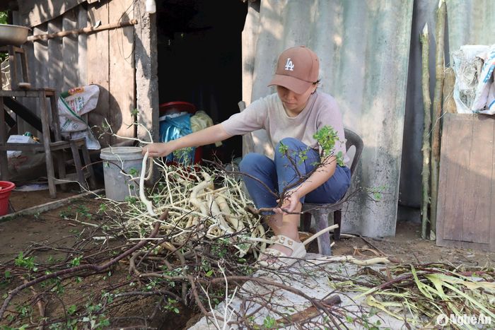 Trải nghiệm làm giấy dó tại xóm Phong Phú, xã Nghi Phong. Ảnh: Diệp Thanh