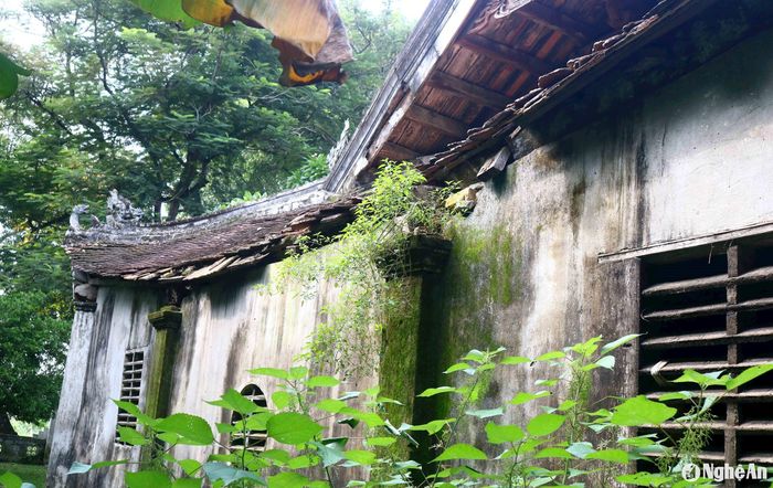 Sau hàng trăm năm tồn tại, đình đã xuống cấp nghiêm trọng. Các mái ngói của đình bị tụt nhiều chỗ. Trong ảnh: Mái ngói hồi trái của hạ điện. Ảnh: Huy Thư
