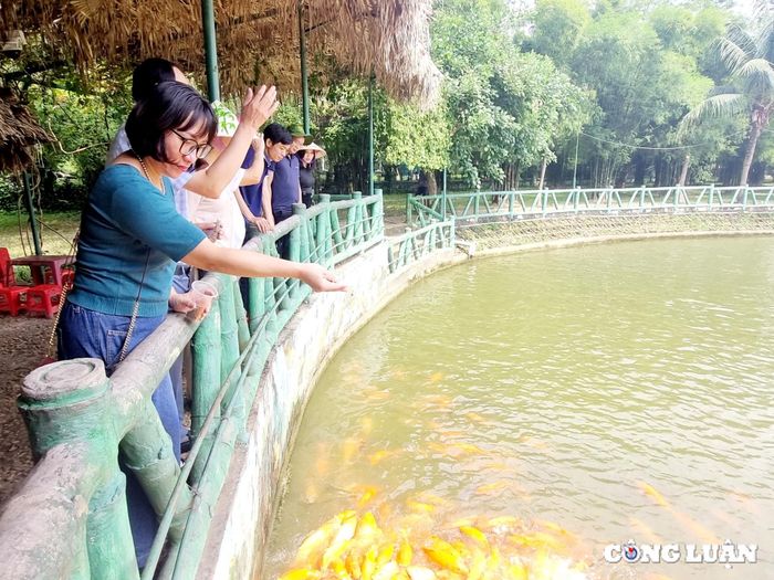  Đoàn tham quan ao cá tại quê Nội của Bác Hồ. 