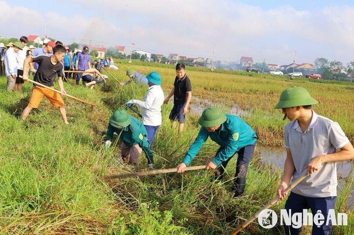 Triển khai nạo vét kênh mương đảm bảo nước tưới ở Hưng Nguyên. Ảnh: Văn Trường