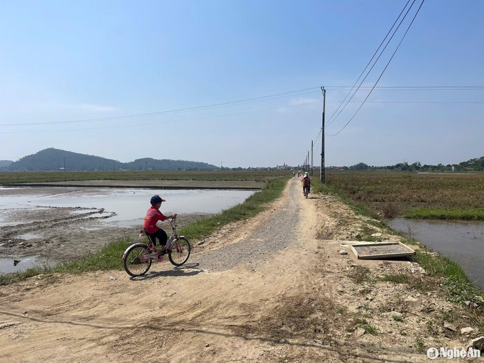 Đây là con đường mà học sinh trên địa bàn thường xuyên qua lại. Ảnh: Tiến Đông