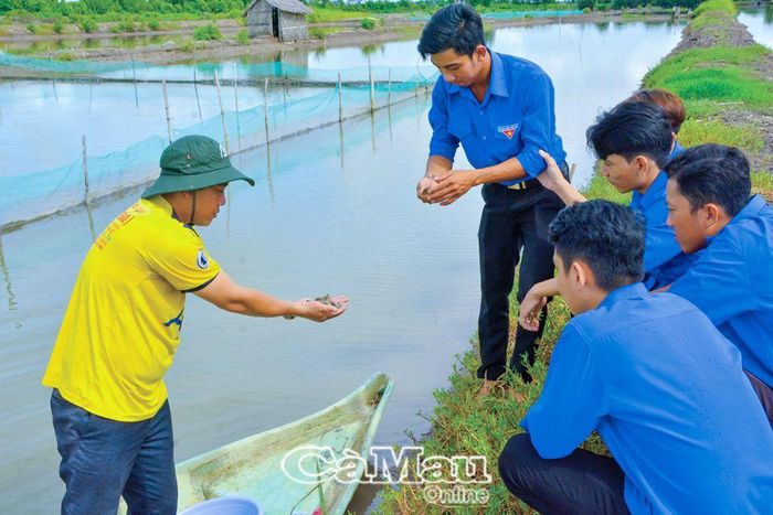 Từ phong trào khởi nghiệp, lập nghiệp đã xuất hiện nhiều đoàn viên, thanh niên lập nghiệp thành công, nhiều mô hình phát triển kinh tế mang lại hiệu quả bền vững.