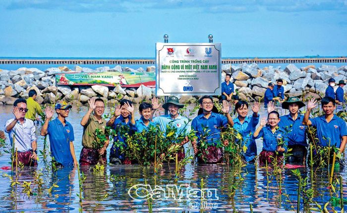 Trong nhiệm kỳ, Hội LHTN Việt Nam tỉnh phối hợp với các đơn vị trồng hơn 1 tỷ cây xanh bảo vệ rừng phòng hộ, phòng chống sạt lở trên lâm phần Vườn Quốc gia Mũi Cà Mau và U Minh Hạ, đê biển Tây. (Ảnh: Chương trình “Hành động vì một Việt Nam xanh”, tại đê biển Tây, huyện Trần Văn Thời, ngày 23/8/2024).