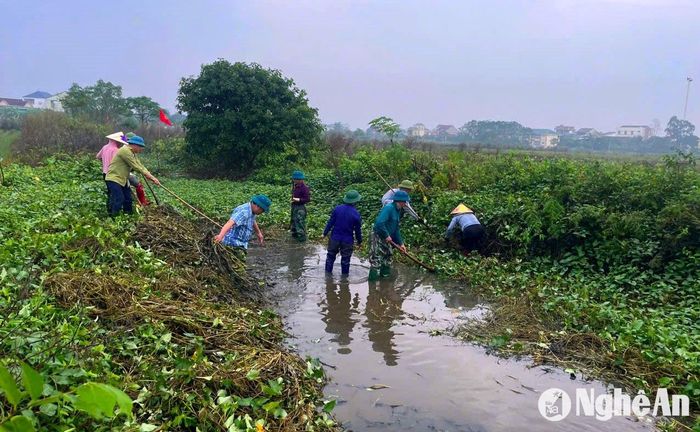 Các khu vực khác trên địa bàn huyện như kênh Lê Xuân Đào, kênh 12/9, kênh T18, kênh T20… đều được người dân nạo vét, vớt bèo, khơi thông dòng chảy. Ảnh: Q.A