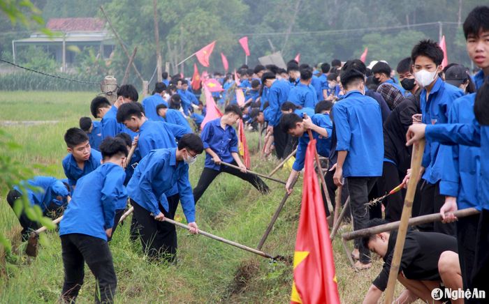 Hàng trăm học sinh Trường THPT Thái Lão, huyện Hưng Nguyên trong màu áo xanh tình nguyện ra quân làm thủy lợi sáng 13/10. Ảnh: Q.A
