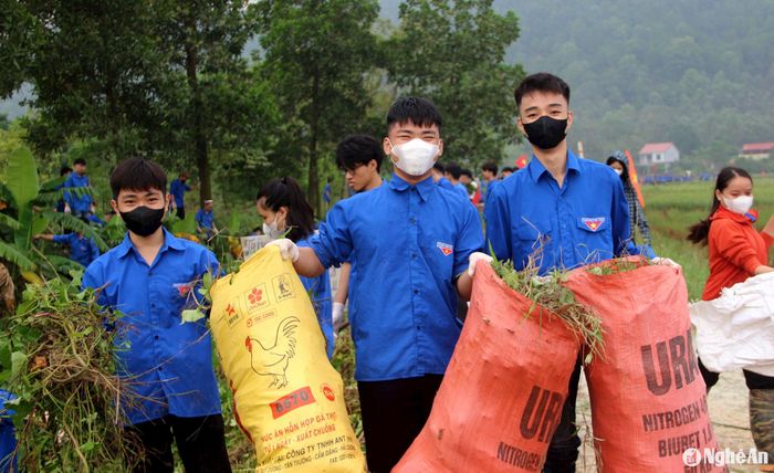 Cỏ và bèo tây sau khi được cắt bỏ đều được thu dọn sạch sẽ. Ảnh: Q.A