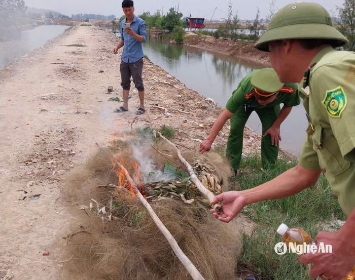 Các lực lượng đốt và tiêu hủy lưới bẫy chim hoang dã. Ảnh: Văn Trường