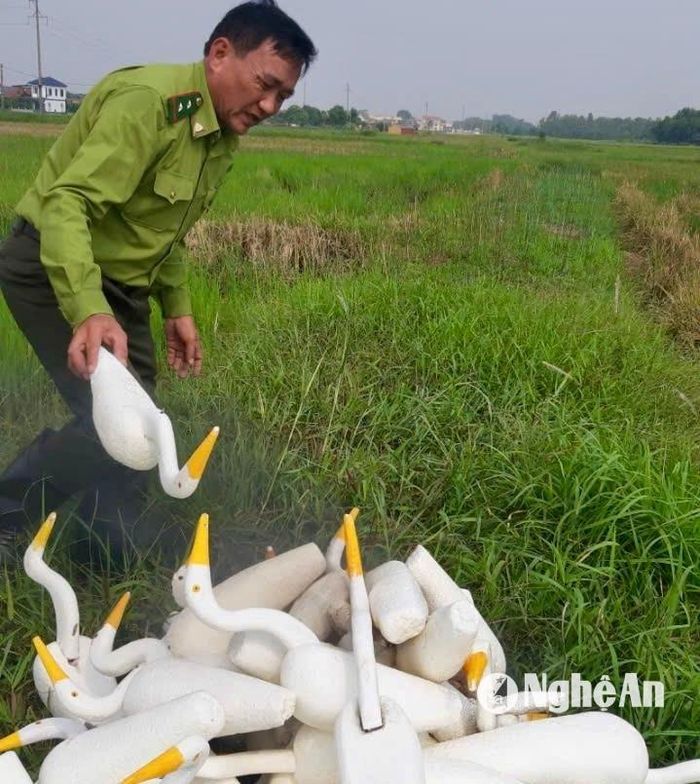 Cán bộ kiểm lâm Diễn Châu thu giữ và đốt tiêu hủy cò giả ngay trên đồng. Ảnh: Văn Trường