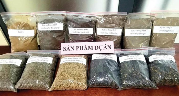 Thức ăn dạng bột và viên từ ấu trùng ruồi lính đen được nuôi bằng các loại phế phụ phẩm
