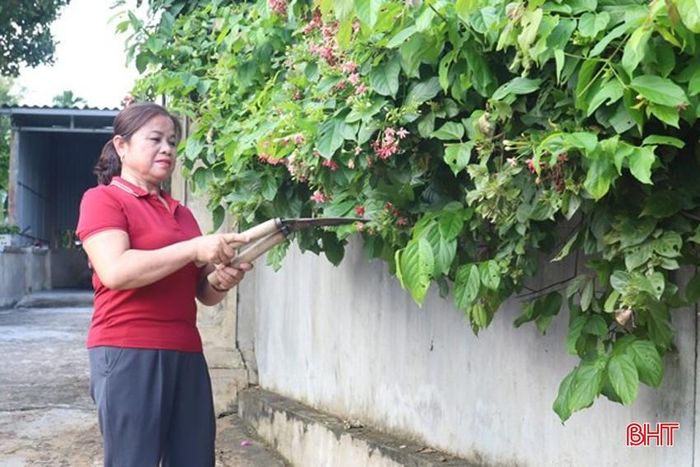 Mặc dù bận bịu nhiều công việc nhưng chị Thủy vẫn dành thời gian chăm chút cho khu vườn của mình.