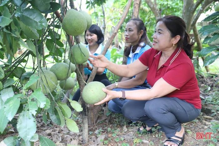 Chị Trần Thị Lệ Thủy (áo đỏ) bên cây bưởi Tân Lạc trĩu quả trong vườn nhà mình.