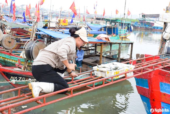 Tàu cập bến, xuất bến liên tục, công việc của chị em làng biển ở các cảng cá chẳng lúc nào ngơi tay. Họ trở thành cửu vạn bốc dỡ cá từ tàu, thuyền xuống bến. Ảnh: T.P