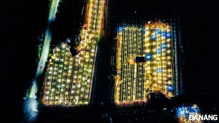 Hiện nay, tại thôn Dương Sơn có Tổ hợp tác hoa Dương Sơn với 24 hội viên (trong đó đã có 8 hộ thực hiện ứng dụng công nghệ cao trong sản xuất hoa).