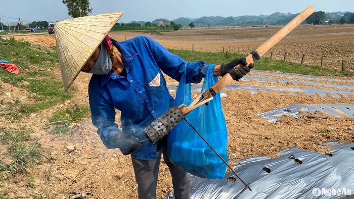 Bà con nông dân tự chế dụng cụ bằng lồng sắt tròn, bỏ than vào đốt lửa lên để làm nóng rồi dí xuống tấm ni lông đã phủ lên luống, tạo lỗ tròn để gieo hạt. Ảnh: Quang An