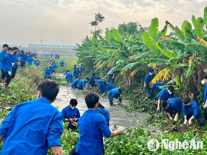Các đoàn thể ở huyện Hưng Nguyên ra quân làm thủy lợi. Ảnh: Văn Trường