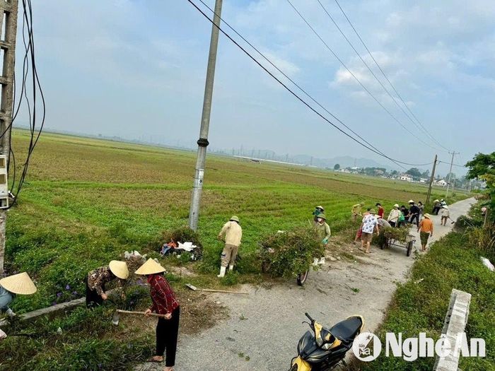 Bà con nông dân phát dọn cỏ dại, bụi rậm dọc các tuyến giao thông. Ảnh: Văn Trường