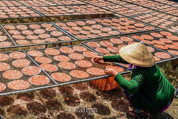 Sản phẩm bánh tráng cá cơm được khách hàng ưa chuộng.