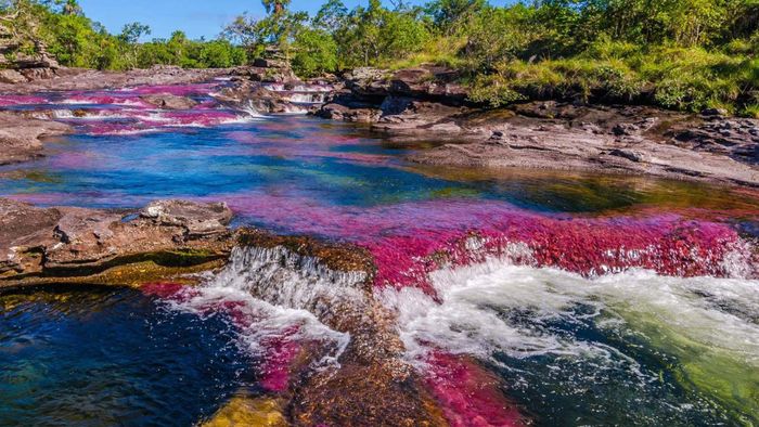 Nằm trong vườn quốc gia Serrania de la Macarena, Canõ Cristales hiện lên với 5 màu sặc sỡ: đen, xanh dương, đỏ, xanh lá cây và vàng