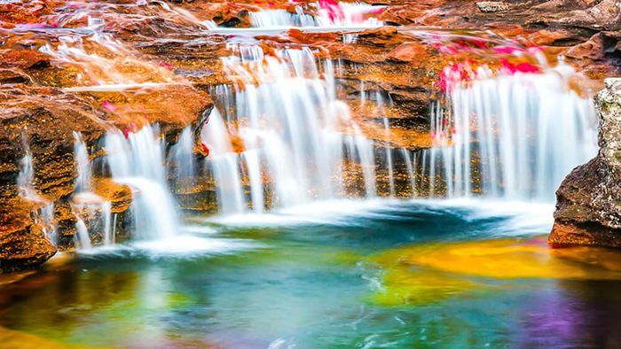 Sông Cano Cristales có dòng chảy nhanh, kèm theo đó là những thác nước, hốc đá và một dòng nước trong vắt đến mức du khách đến đây có thể nhìn thấy tận đáy sông