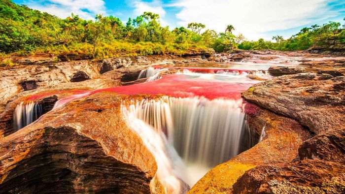 Con sông dài khoảng 100km và rộng không quá 20m, là một trong những kỳ quan thiên nhiên ngoạn mục nhất của Colombia cũng như thế giới