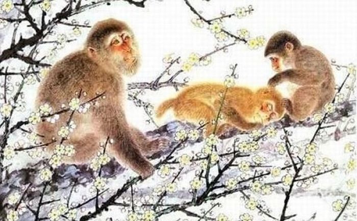  Nữ tuổi Khỉ: thông minh, có phước lành sâu sắc. Mặc dù những cô gái tuổi Thân thường kỳ quặc nhưng thực ra trong lòng họ đầy lòng nhân hậu và trí tuệ. Họ có đầu óc linh hoạt, phản ứng nhanh nhạy và luôn có thể nảy ra những ý tưởng hay vào những thời điểm quan trọng. 